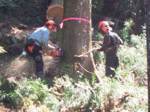 RIMG0037.gif