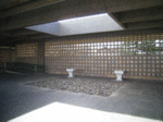 RIMG0006.gif