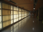 RIMG0019.gif